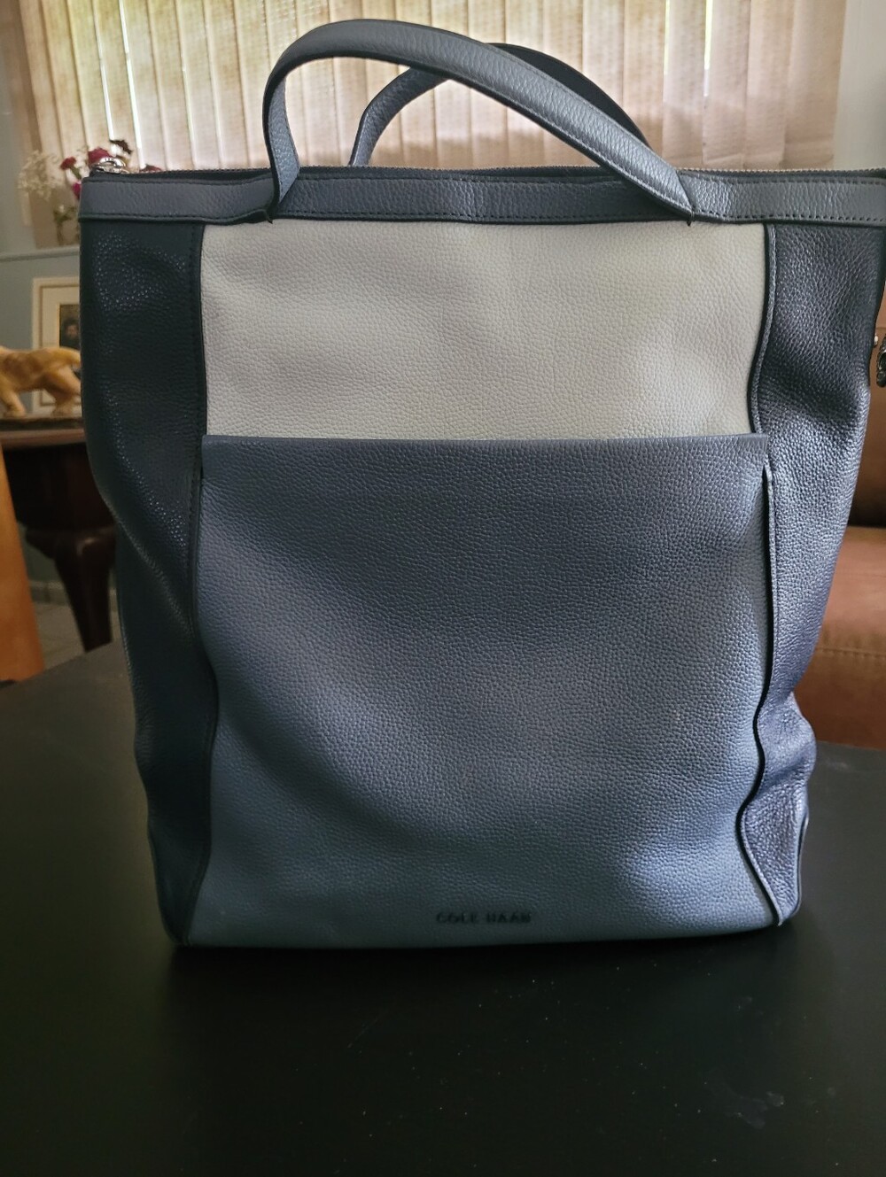Cole Haan Tri Colored Leather Backpack In Light Blue and Cream